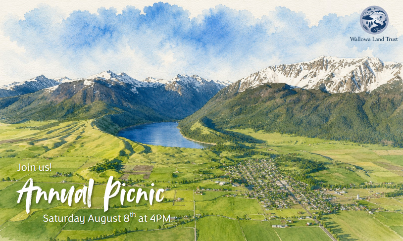 Picnic invite