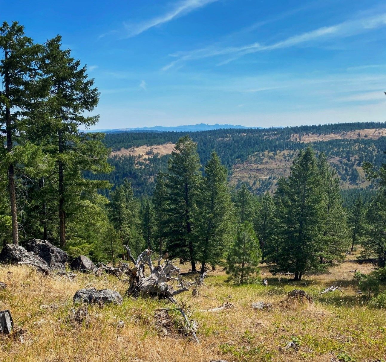 Slinker Conservation Easement landscape